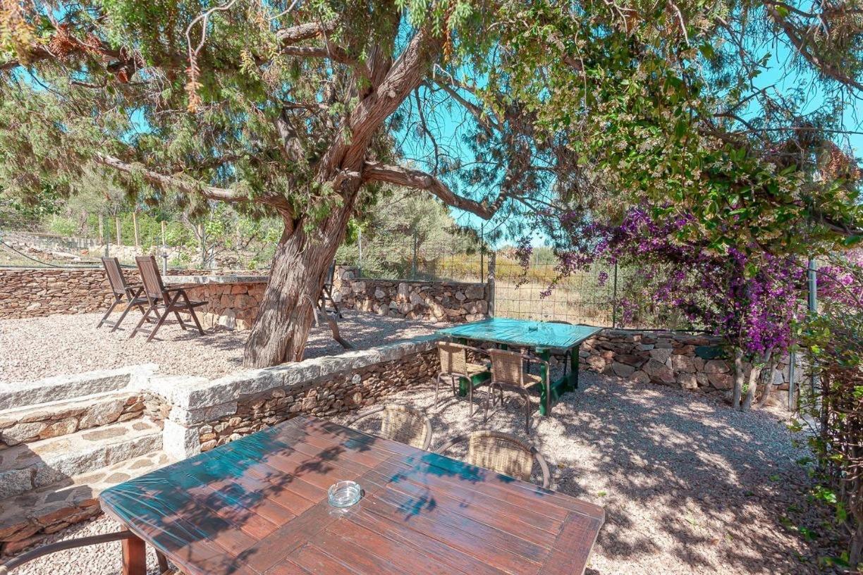 B&B Pettirosso Garden San Teodoro  Exterior photo