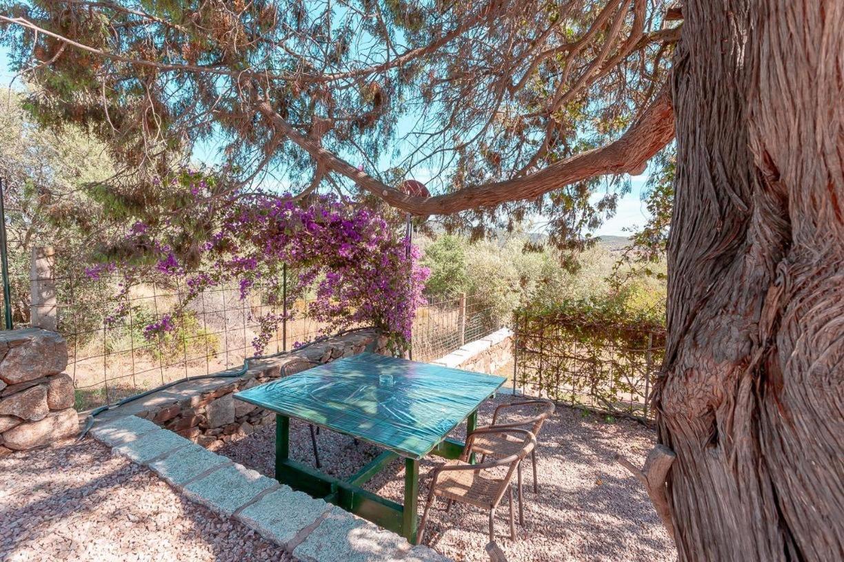 B&B Pettirosso Garden San Teodoro  Exterior photo